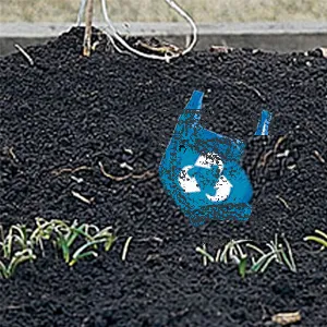 Top 10 Emerging Bioplastics Companies Revolutionizing the Industry