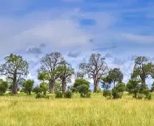 PPPEXPO KENYA 2021