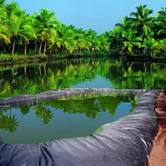LDPE Plastic Films & Sheets