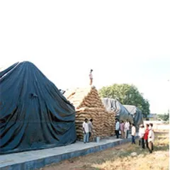 U.V.Stablized Films