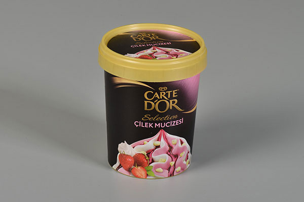 Ice Cream Packaging Designs