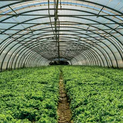 High-quality Greenhouse Films & Products